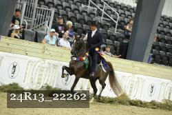 24R13_22262 thumbnail