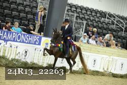 24R13_22263 thumbnail