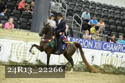 24R13_22266 thumbnail