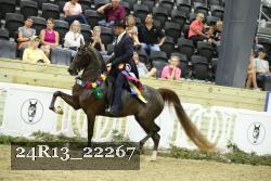 24R13_22267 thumbnail