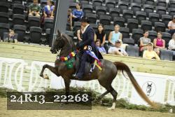 24R13_22268 thumbnail