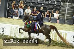 24R13_22269 thumbnail