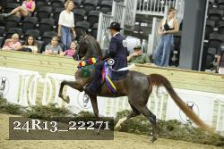 24R13_22271 thumbnail
