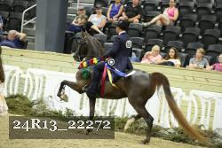 24R13_22272 thumbnail