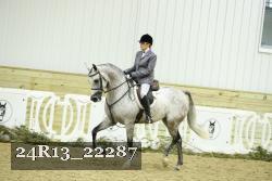 24R13_22287 thumbnail