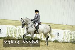 24R13_22288 thumbnail
