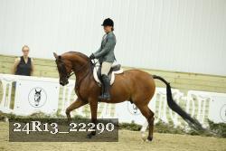 24R13_22290 thumbnail