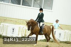 24R13_22291 thumbnail