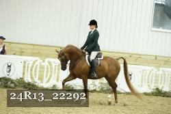 24R13_22292 thumbnail