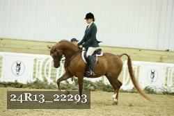 24R13_22293 thumbnail