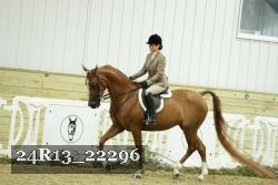 24R13_22296 thumbnail