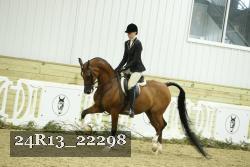 24R13_22298 thumbnail