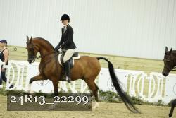 24R13_22299 thumbnail