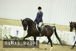 24R13_22301 thumbnail
