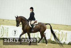 24R13_22302 thumbnail