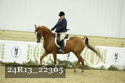 24R13_22305 thumbnail