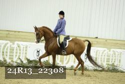 24R13_22308 thumbnail