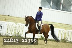 24R13_22309 thumbnail