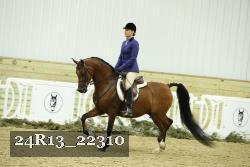 24R13_22310 thumbnail