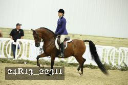 24R13_22311 thumbnail
