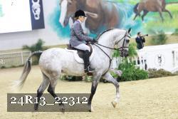 24R13_22312 thumbnail