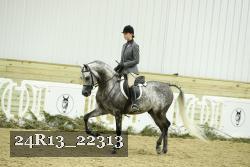 24R13_22313 thumbnail