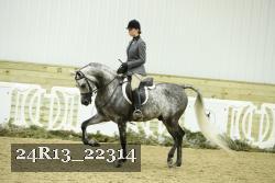 24R13_22314 thumbnail