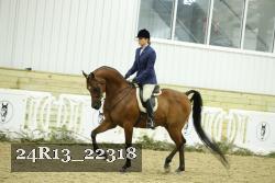 24R13_22318 thumbnail