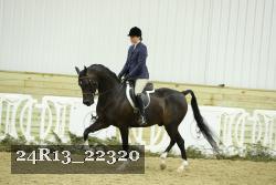 24R13_22320 thumbnail