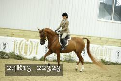 24R13_22323 thumbnail
