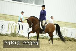 24R13_22324 thumbnail