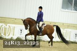 24R13_22325 thumbnail