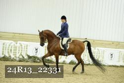 24R13_22331 thumbnail