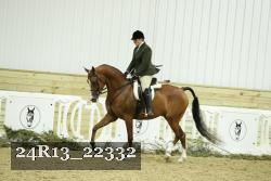 24R13_22332 thumbnail