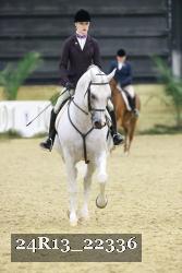 24R13_22336 thumbnail