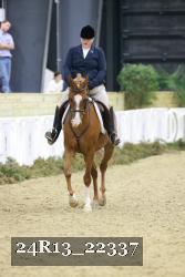 24R13_22337 thumbnail