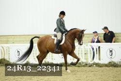 24R13_22341 thumbnail
