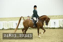 24R13_22343 thumbnail