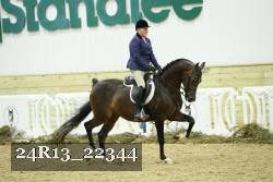 24R13_22344 thumbnail