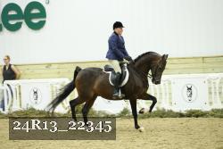 24R13_22345 thumbnail