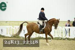 24R13_22348 thumbnail