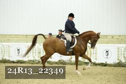24R13_22349 thumbnail