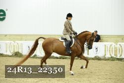 24R13_22350 thumbnail