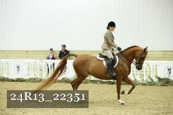 24R13_22351 thumbnail
