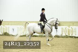 24R13_22352 thumbnail