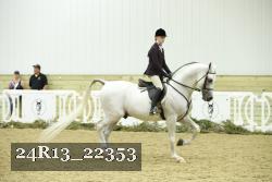 24R13_22353 thumbnail
