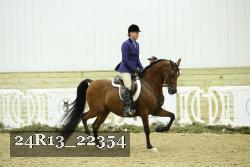 24R13_22354 thumbnail