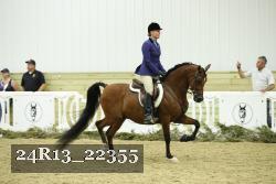 24R13_22355 thumbnail