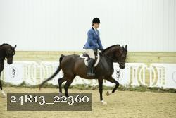 24R13_22360 thumbnail