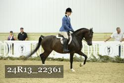 24R13_22361 thumbnail